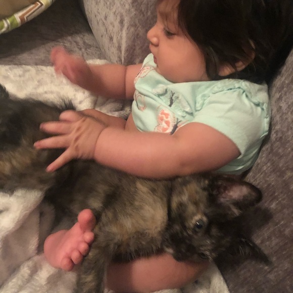 Meet your Posher, !victorias - Picture 1 of 1